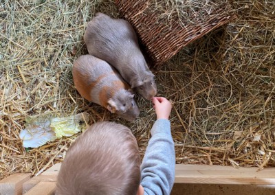 67. Trächtigkeitstag