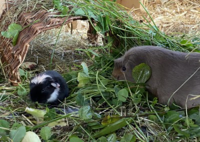 6. Lebenstag Carlie und Olivia