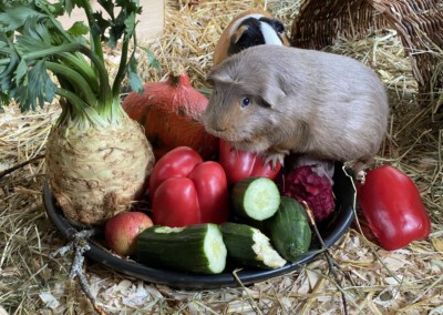 Olivia 12 Tage nach der Geburt