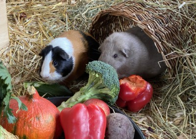 Henley nach der Geburt - Stärkung am 