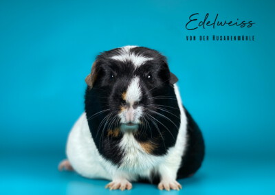 21 Tage vor der Geburt