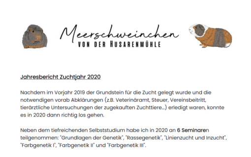 Jahresbericht 2020