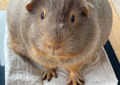 11 Tage vor der Geburt