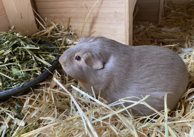 7 Tage vor der Geburt