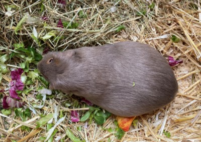 6 Tage vor der Geburt