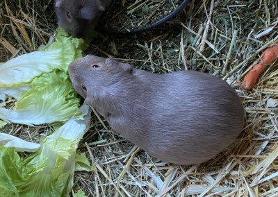 1 Tag nach der Geburt