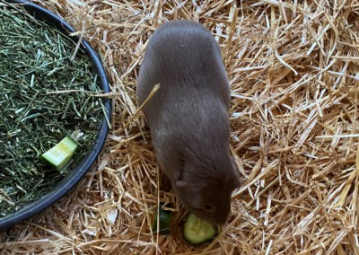 6 Tage nach der Geburt