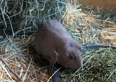 6 Tage nach der Geburt