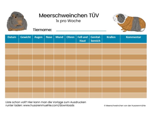 Vorlage Meerschweinchen TÜV