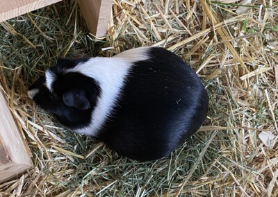 23 Tage vor der Geburt