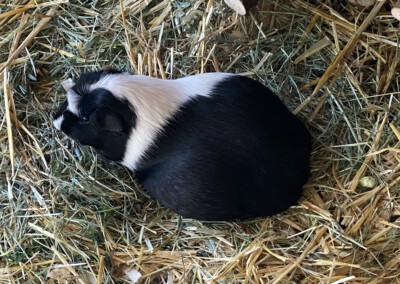 19 Tage vor der Geburt