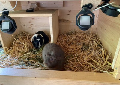 19 Tage vor der Geburt