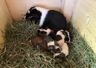 Wenige Stunden nach der Geburt