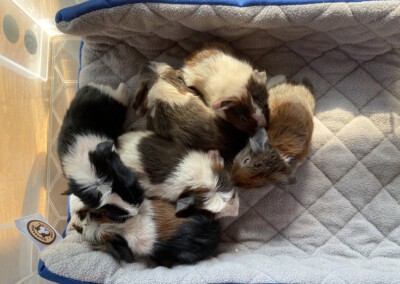 Wenige Stunden nach der Geburt