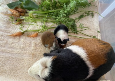 2. Lebenstag - Kayla und Kew Quality Time mit Mama Ellie