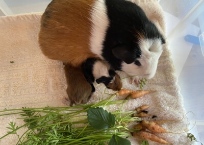 2. Lebenstag - Kayla und Kew Quality Time mit Mama Ellie