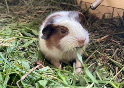 3. Lebenstag - Jolie