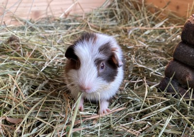 16. Lebenstag - Jolie