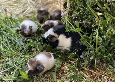 19. Lebenstag mit Tante Elea