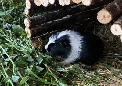 19. Lebenstag - Jotta