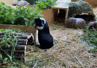 38 Tage vor der Geburt