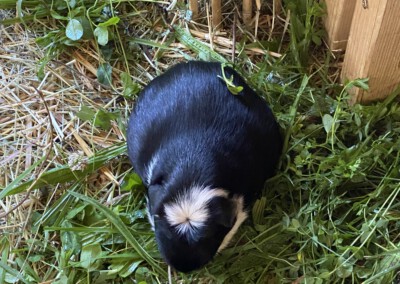 Am Tag vor der Geburt