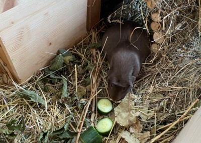 1 Tag vor der Geburt