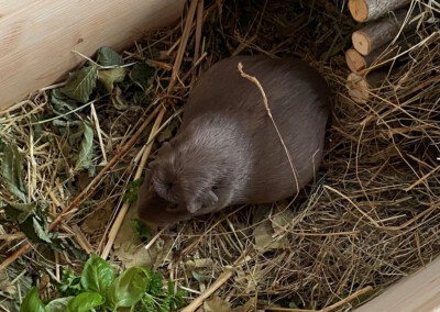 1 Tag vor der Geburt