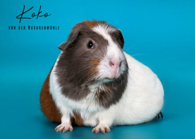 2 Tage vor der Geburt