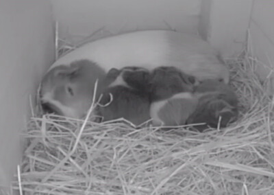 4 Stunden nach der Geburt