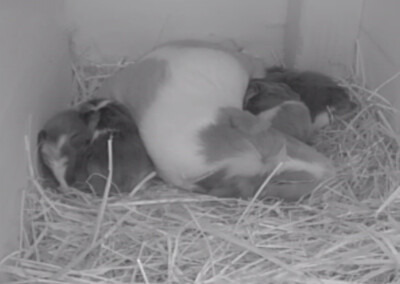 6 Stunden nach der Geburt