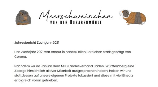 Jahresbericht 2021