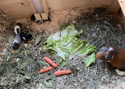 3. Lebenstag - noch in der Penthouse Ebene