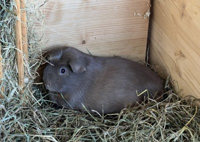 Wenige Stunden vor der Geburt