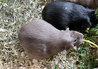 2 Tage vor der Geburt