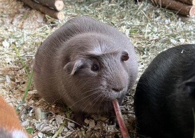 2 Tage vor der Geburt