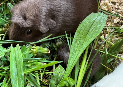 5. Lebenstag - Youles mit Mama Darla