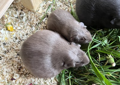 2 Tage vor der Geburt