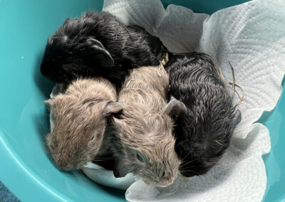 Kurz nach der Geburt