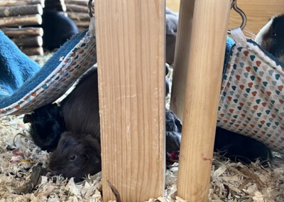 Kurz nach der Geburt