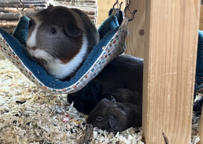 Kurz nach der Geburt