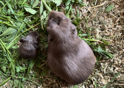 Darla 7 Tage nach der Geburt