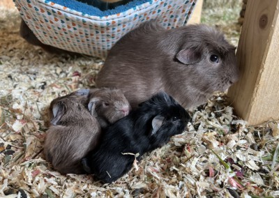 Kurz nach der Geburt