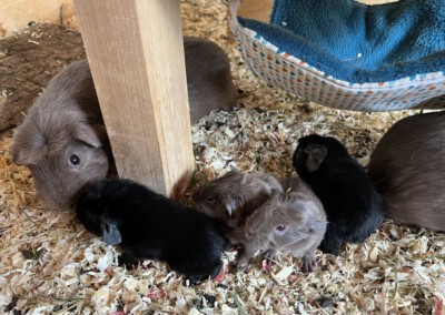 Kurz nach der Geburt