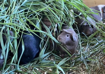 5 Tage nach der Geburt