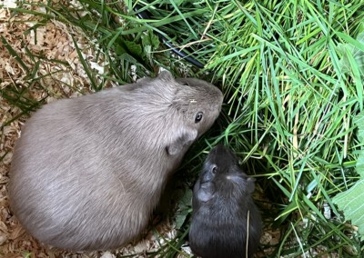 16. Lebenstag mit Ziara