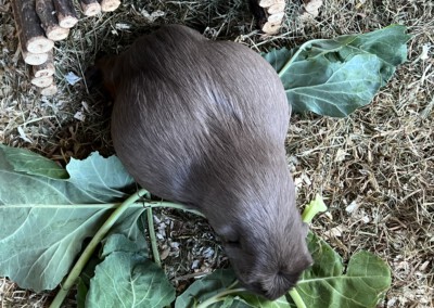 10 Tage vor der Geburt