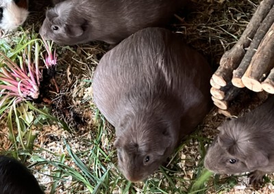 6 Tage vor der Geburt