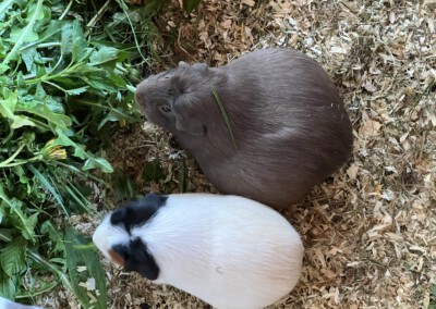 5 Tage vor der Geburt