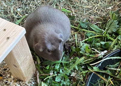 11 Tage vor der Geburt